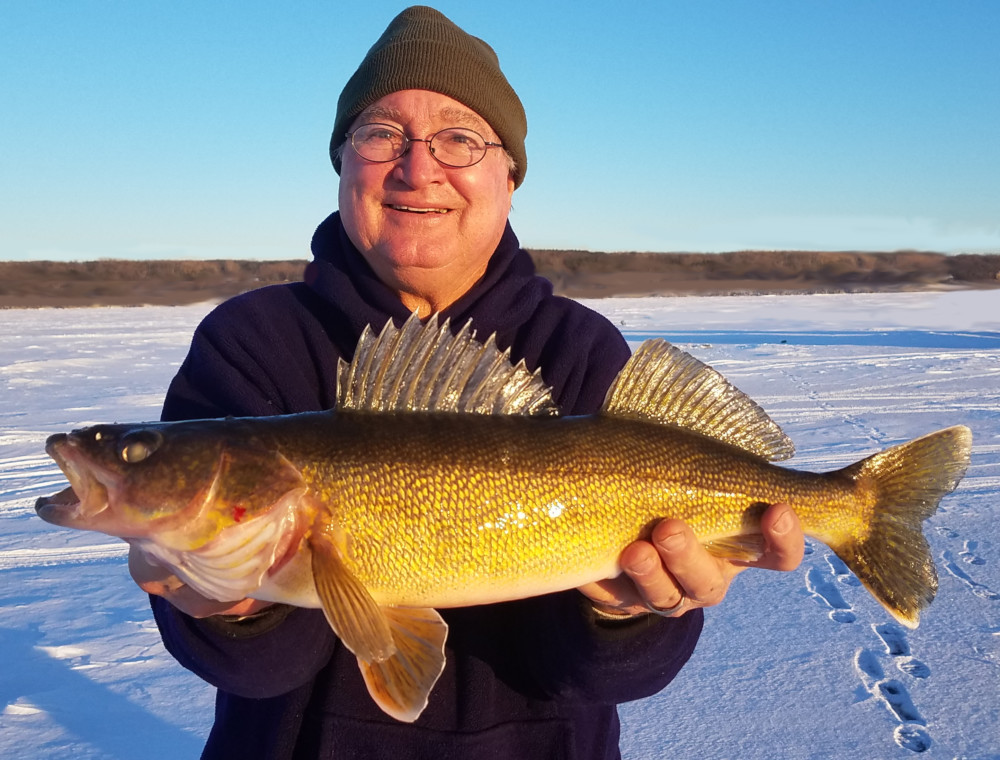 A person wearing glasses, a winter hat, and a dark sweater is smiling after a successful fishing trip, holding a large yellow fish with spiky fins while standing on a snowy landscape under a clear blue sky.
