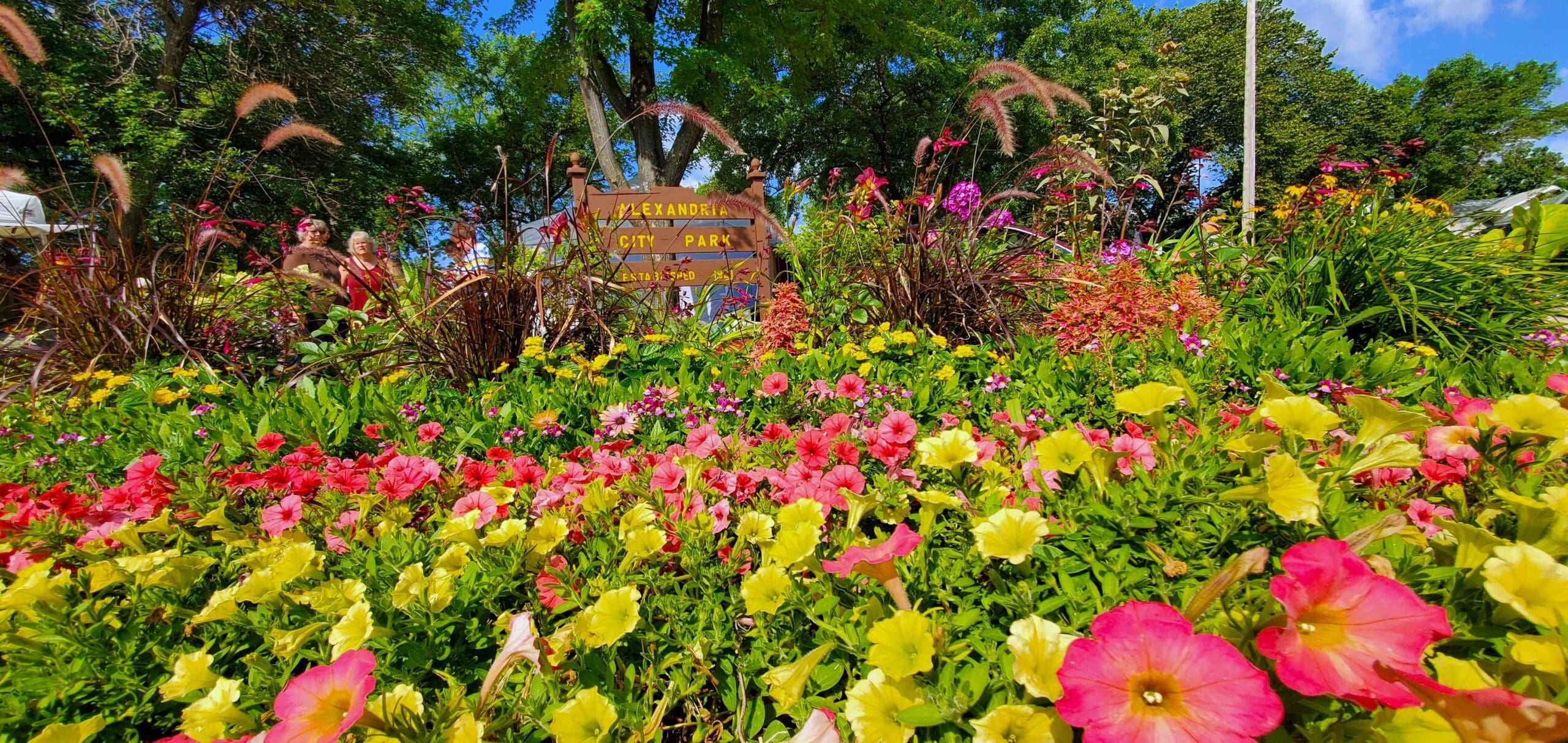 A vibrant flower bed with pink, yellow, and red blooms fills the foreground, with a wooden "Alexandria City Park" sign and lush green trees in the background under a partly cloudy blue sky.