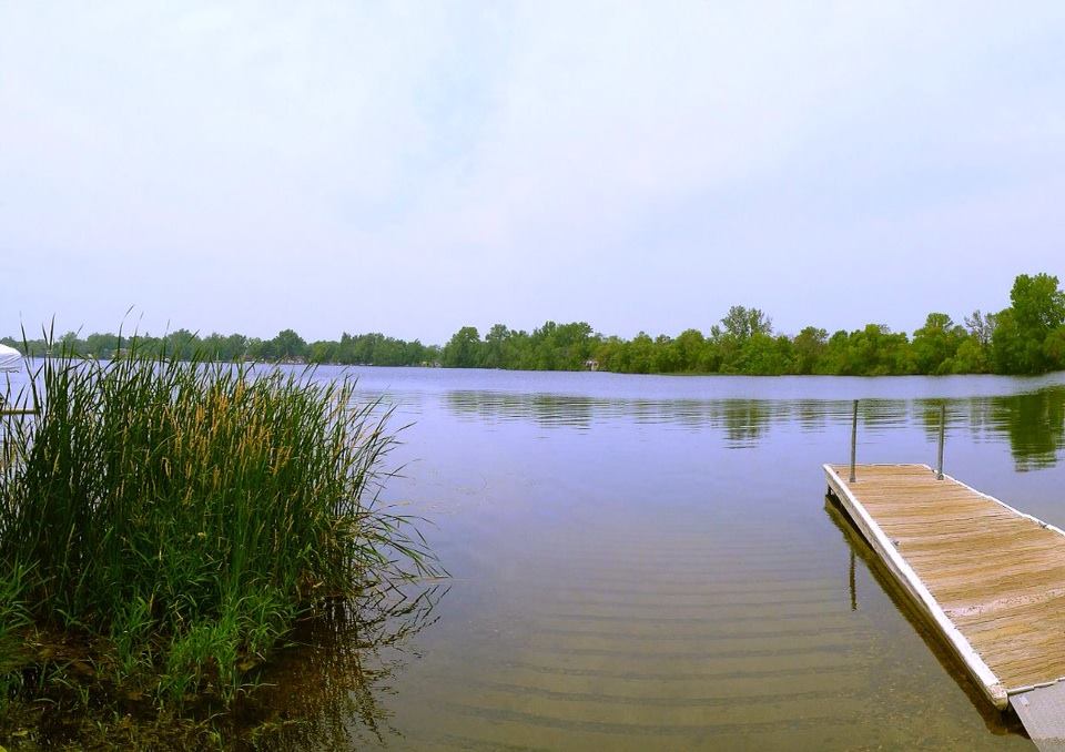 A wooden dock extends into calm Lake Cowdry with gentle ripples. Tall green reeds grow along the shoreline on the left, and trees line the distant opposite shore under a pale, partly cloudy sky.