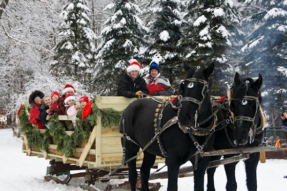 A group of people wearing winter clothes and Santa hats ride in a wooden sleigh decorated with beautiful greenery and plants, pulled by two black horses through a snowy forest with pine trees.