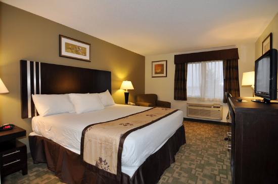 A cozy Best Western hotel room featuring a large bed, two nightstands with lamps, an armchair by the window, a TV on a dresser, paintings on the walls, and an air conditioning unit beneath a curtained window.
