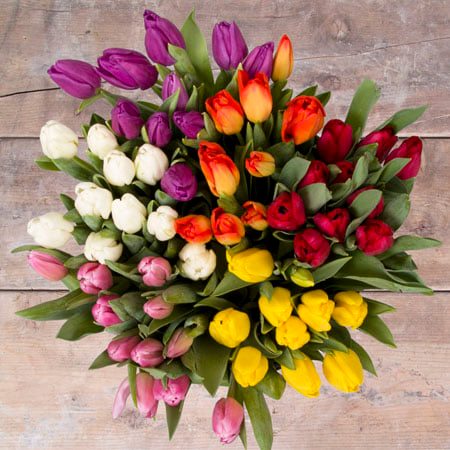A top view of a bouquet of tulips in various colors—purple, white, red, orange, pink, and yellow—beautifully arranged by Broadway Floral on a wooden surface.
