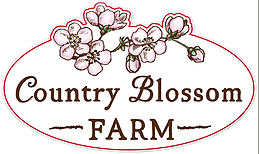 Logo for Country Blossom Farm showcases pink cherry blossoms above the name in elegant brown script, all enclosed within an oval border.