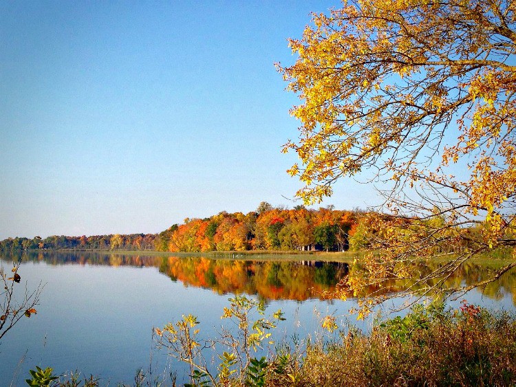 A calm Lake Carlos reflects colorful autumn trees and a clear blue sky, with branches bearing yellow leaves in the foreground and dense foliage lining the shoreline.