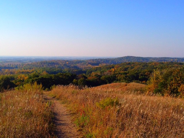 A narrow dirt path winds through tall, golden grasses on a hill at Inspiration Peak, overlooking a vast landscape of green and orange trees under a clear blue sky.