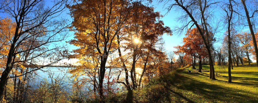 A sunny autumn scene at Lake Brophy Wayside Park features colorful trees by a calm lake. Sunlight filters through orange and yellow leaves, casting shadows on green grass and a gently sloping hill beneath a clear blue sky.