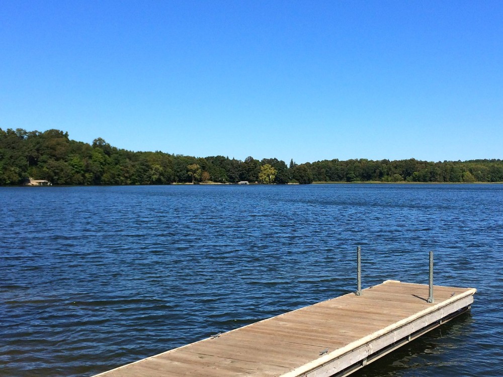 A wooden dock extends over the calm blue waters of Lobster Lake, with trees and green foliage lining the distant shore under a clear, bright blue sky—perfect for Alexandria Lakes fishing.