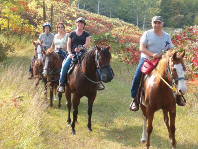 Four people ride horses in single file along a grassy trail at Silver Sage Ranch, enjoying a sunny day outdoors surrounded by scenic trees and bushes. They smile, wearing casual clothes with helmets or hats.