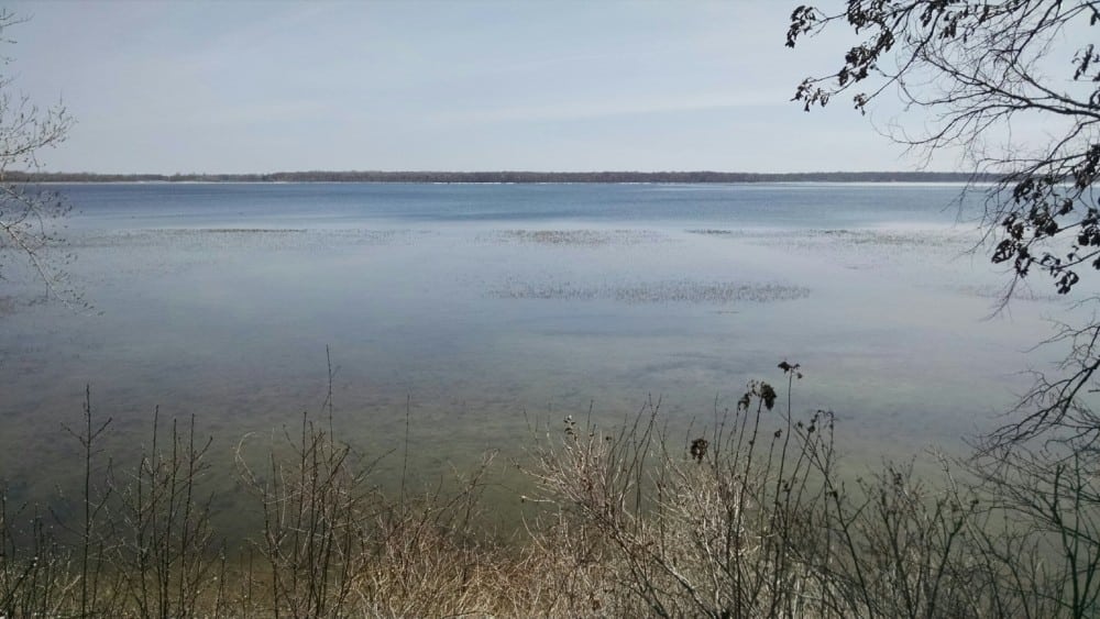 A calm lake stretches into the distance under a pale sky, its surface still touched by lingering ice, bordered by leafless shrubs and bare tree branches in the foreground, suggesting early spring or late autumn.