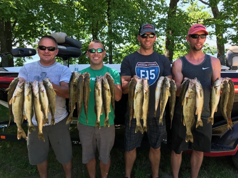Four men stand outdoors in front of a boat, each proudly holding up several large walleye they caught, smiling at the camera. Green trees fill the background on a sunny day.