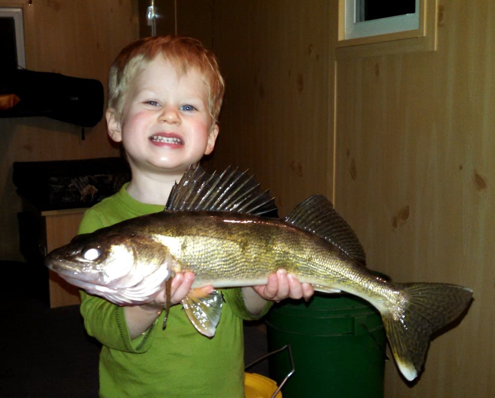 A smiling young child with blond hair holds a large late season walleye in Alexandria, MN with both hands inside a wooden-walled room, wearing a green shirt and standing in front of a green bucket.