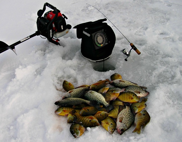 A pile of various fish lies on ice next to an ice fishing hole, showcasing the rewards of late season ice fishing. Nearby, an ice auger, a small fishing rod, and a sonar fish finder rest amid the snowy surroundings.