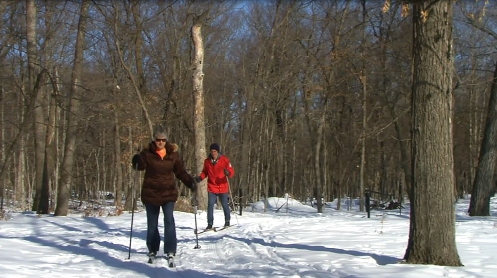 Two people enjoy Alexandria's winter activities in the great outdoors, cross-country skiing on a snowy trail through tall, leafless trees beneath a clear blue sky. The person in front wears a brown jacket and sunglasses; the one behind wears red.