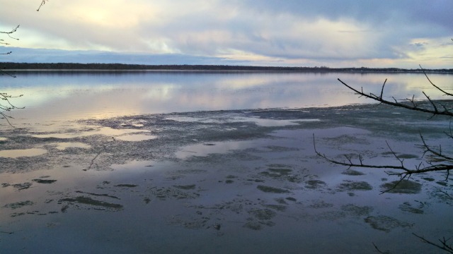 A calm lake partially covered with melting ice reflects a cloudy sky at sunset, hinting at an Ice Free In Alexandria moment. Bare tree branches frame the scene, and distant trees line the horizon.