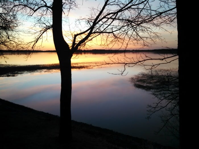 Silhouette of bare trees in front of a calm lake at sunset, where crappie often swim beneath the soft orange, pink, and blue sky that reflects on the water's surface.