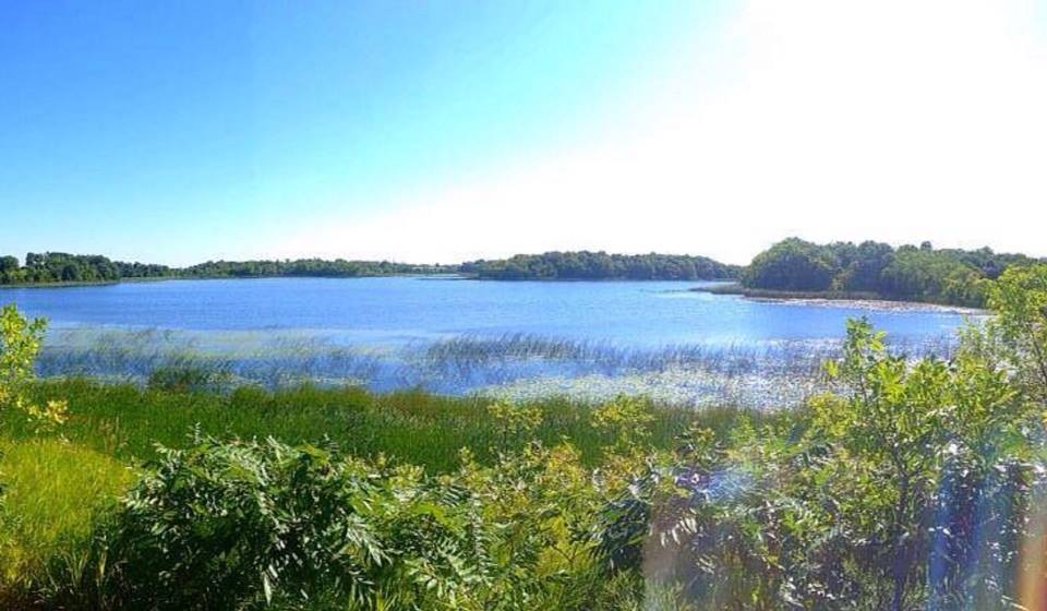 A bright, sunny day at a serene lake along the beautiful Central Lakes Trail, surrounded by green vegetation and trees, with blue water reflecting the clear sky and sunlight streaming in from the upper right corner.