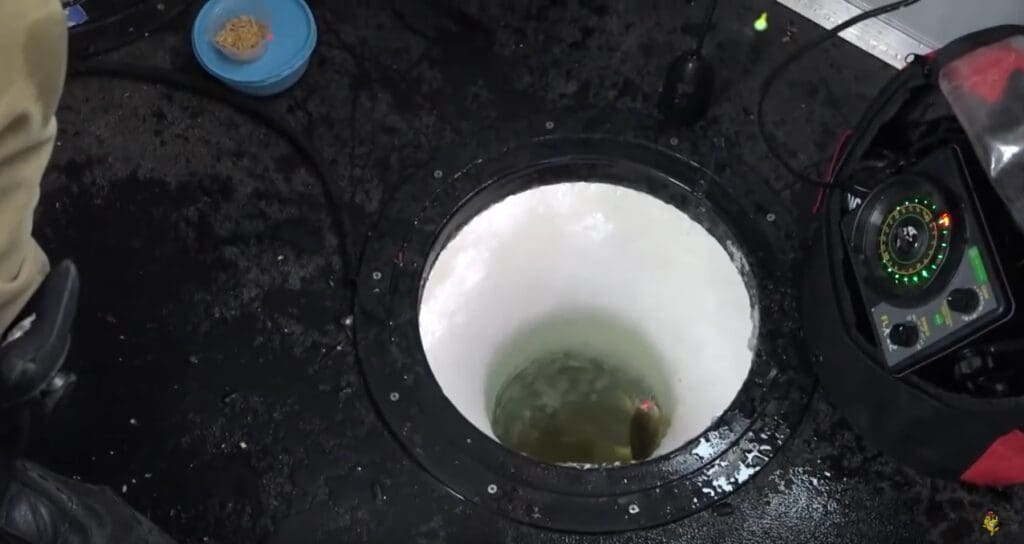 A circular ice fishing hole is cut into a frozen surface, with a fish visible in the water below. Fishing gear, a sonar device, and a blue container—just like those used by Mike Frisch—are arranged nearby on the icy ground.