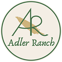 A circular Adler Ranch logo features "Ar" in large green letters atop a gold feather, with "Adler Ranch" written below in elegant green script, all set against a light beige background.