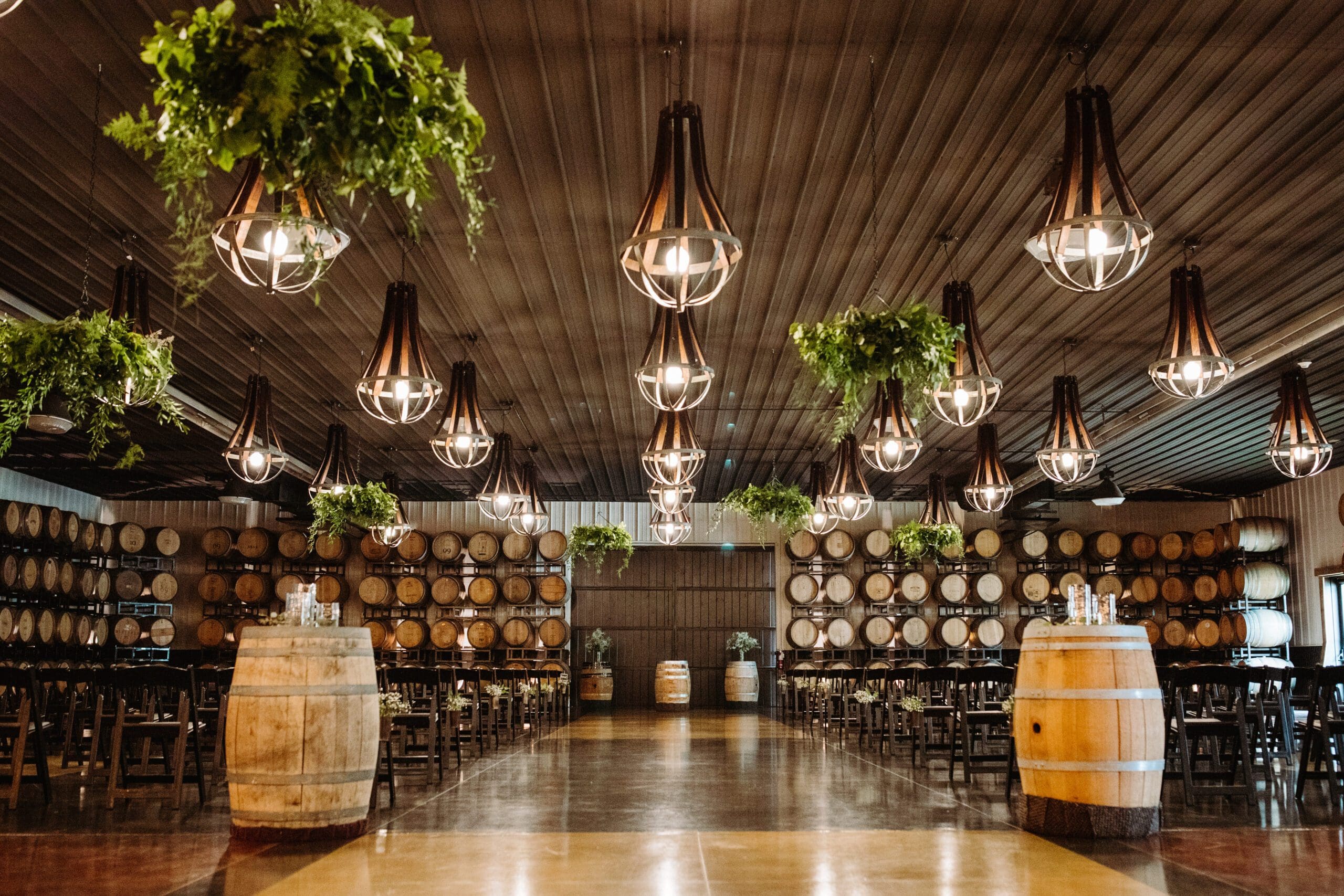 A spacious wine cellar at Bold North Cellars with rows of wooden barrels along the walls, hanging lights, suspended green plants, wooden tables and chairs, and large barrels used as tables in the center aisle.