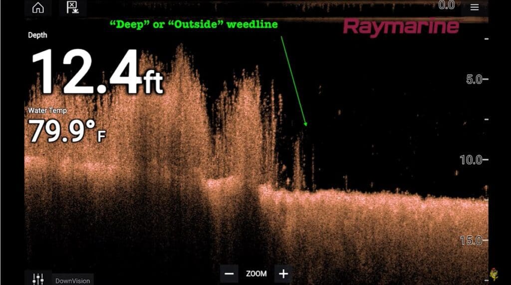 Fish finder sonar screen showing underwater structure at a depth of 12.4 feet and water temperature of 79.9°F, with a labeled weedline area indicated by a green arrow and text—perfect for fishing tips from mike frisch; Raymarine branding appears top right.