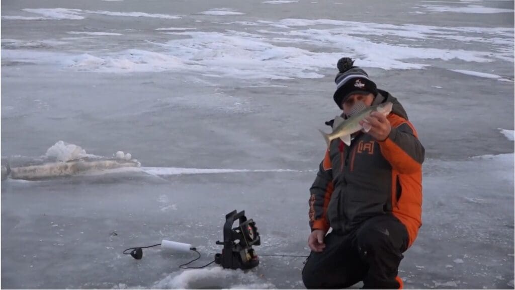 A person in winter clothing kneels on a frozen lake, holding a fish. Ice fishing equipment and a hole in the ice are nearby, surrounded by snow and ice patches—channeling the expertise of mike frisch.