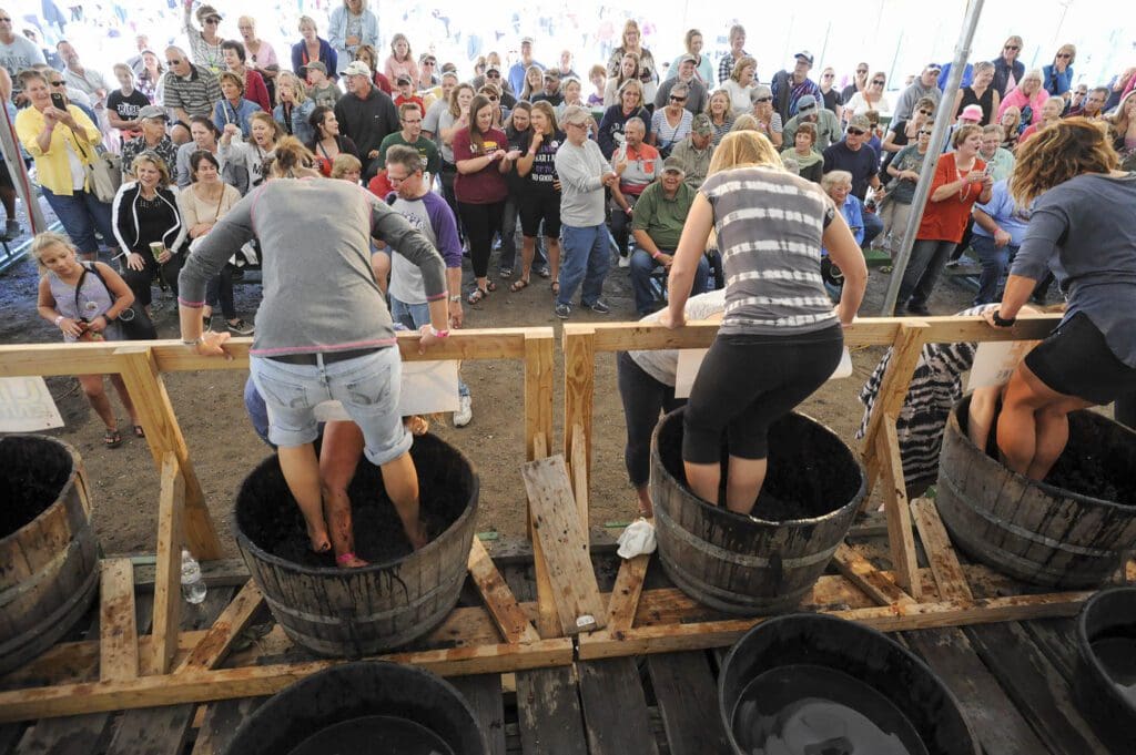 At a lively Alexandria festival, four people stomp grapes in large wooden barrels as a crowd cheers. The energetic scene is a highlight of autumn activities, with everyone taking photos and enjoying the festive atmosphere.