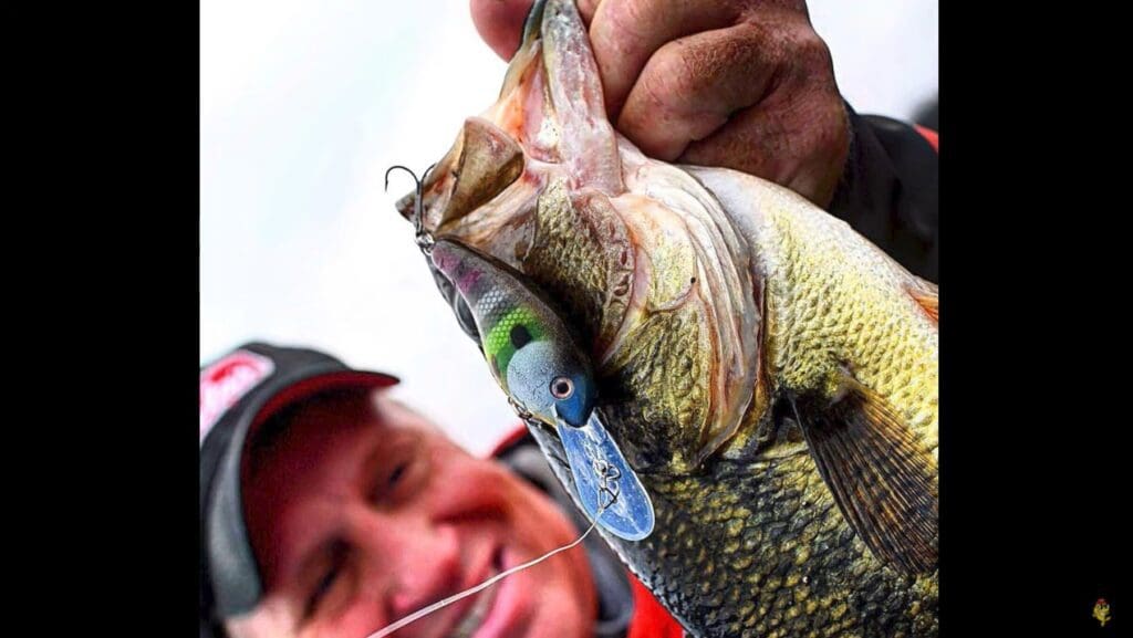A smiling person in a red jacket and cap, like angler Mike Frisch, holds a large fish close to the camera, showing a fishing lure hooked in its mouth.