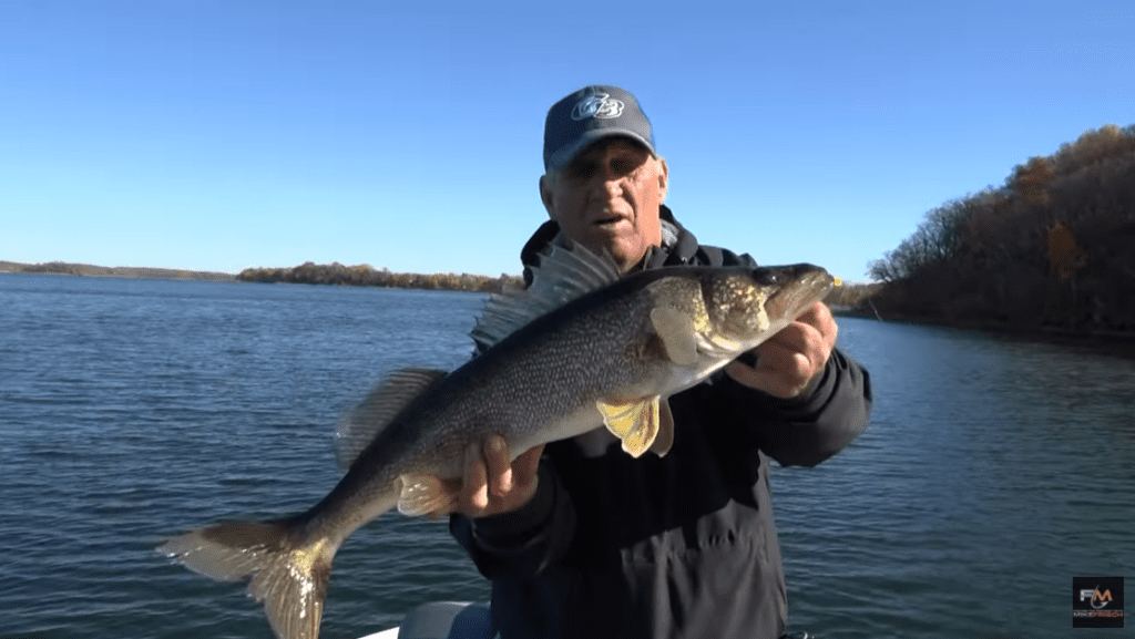 A person on a boat holds up a large fish with both hands on a sunny day, enjoying successful open water fishing with a lake and trees visible in the background.