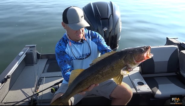 A man in a blue fishing shirt and cap sits in a boat, proudly holding a large walleye with both hands, while calm water shimmers in the background.