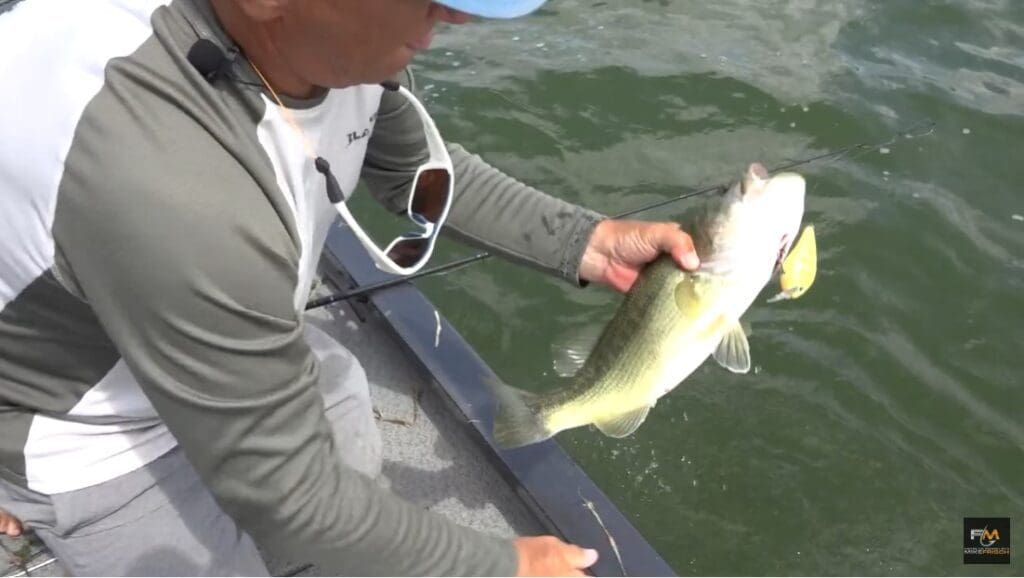 A person on a boat holds a largemouth bass and a fishing rod over water, with sunglasses hanging from their neck—proof that using Bigger Baits can lead to an impressive catch.