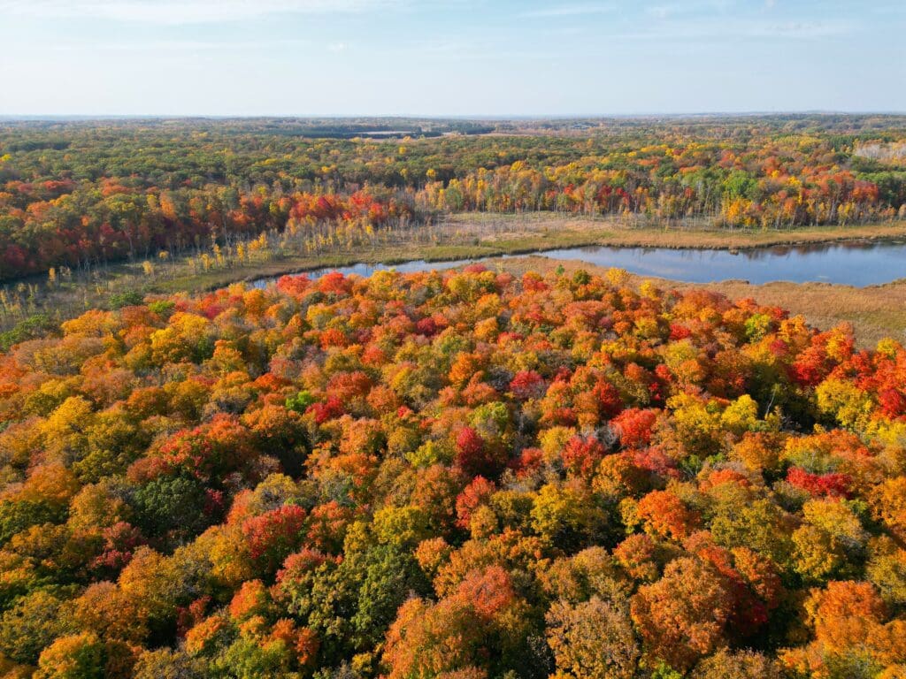 Aerial view of a forest in autumn, alive with vibrant red, orange, and yellow foliage. A calm lake is visible in the background under a blue sky, showcasing the stunning color found in Alexandria parks.