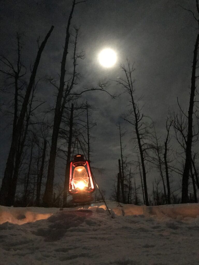 A glowing lantern sits in the snow beneath leafless trees at night, lighting the way for a candlelit walk in the park, with a bright full moon shining in the cloudy sky above.
