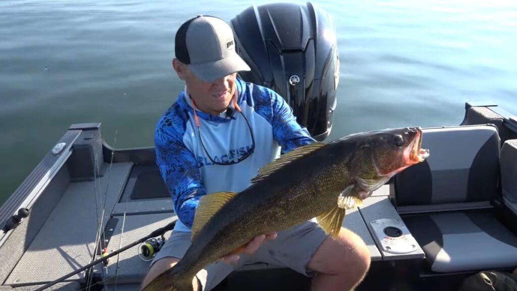 A man in a blue shirt and cap sits in a boat on the water, holding a big walleye with both hands. A fishing rod and boat engine are visible in the background—classic fishing the Midwest style.