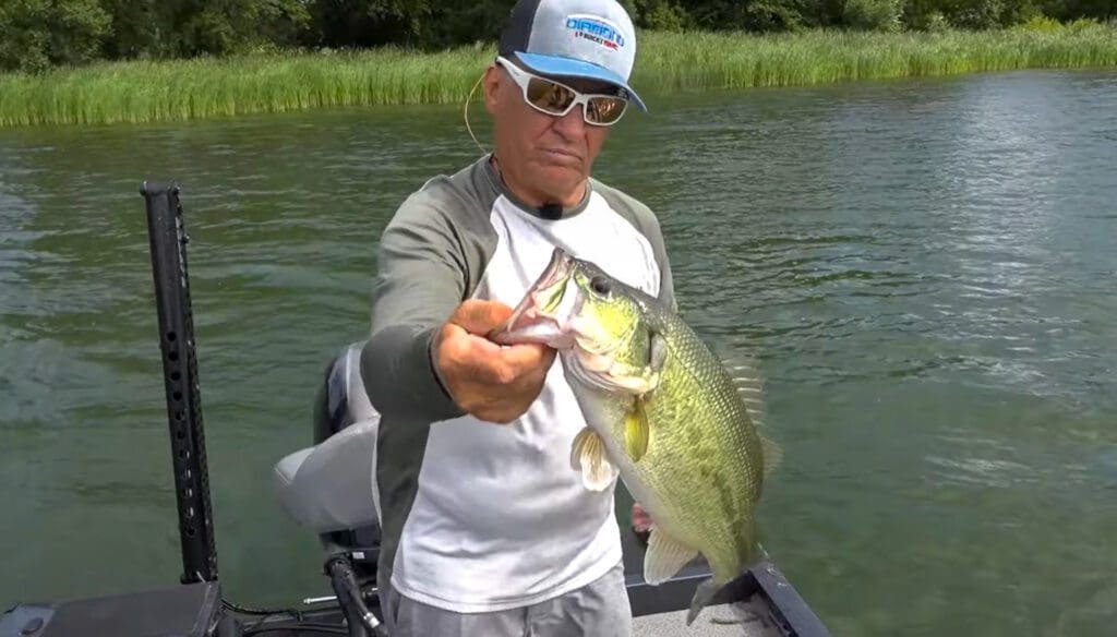 A man wearing sunglasses and a cap holds a large Bass with one hand while standing on a boat in a lake near the Alexandria area, with green reeds and trees visible in the background—perfect for seeking new fishing tips.