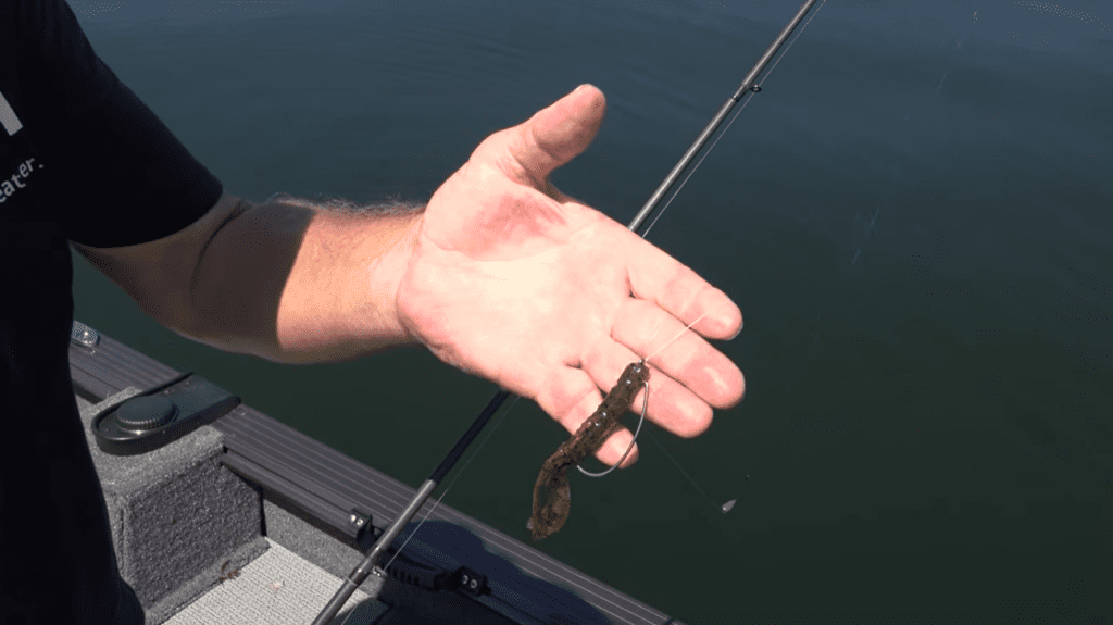 A person holds a fishing rod and displays a green soft plastic lure with a hook in their open hand above the water near the edge of a boat, perfect for fishing the Midwest and trying out new rigs for more bass.