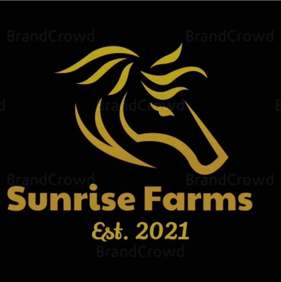 Stylized gold outline of a horse's head above the words "Sunrise Farms," known for horseback riding near me, and "Est. 2021" in gold text on a black background.