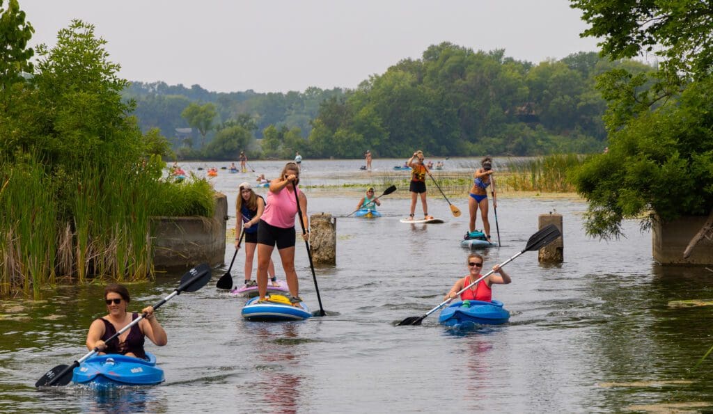 People enjoy paddleboarding and kayaking on Alexandria’s calm waterways, surrounded by lush greenery. Some stand and paddle while others sit, creating a relaxed Paddlefest atmosphere among trees and reeds lining the river.