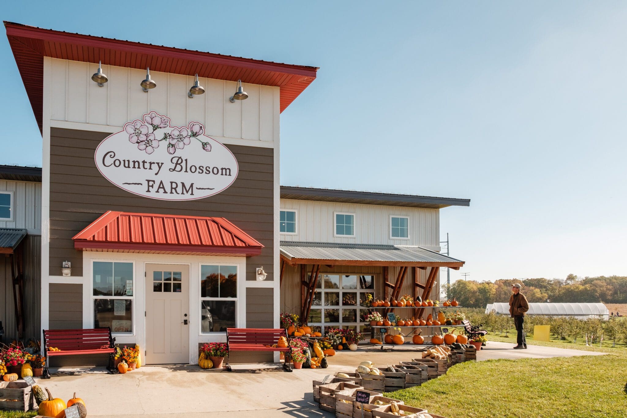 A large farmhouse with a "Country Blossom Farm" sign is decorated with pumpkins, flowers, and produce crates outside. A person stands nearby as fields stretch into the distance beneath a clear sky at Country Blossom Farm.