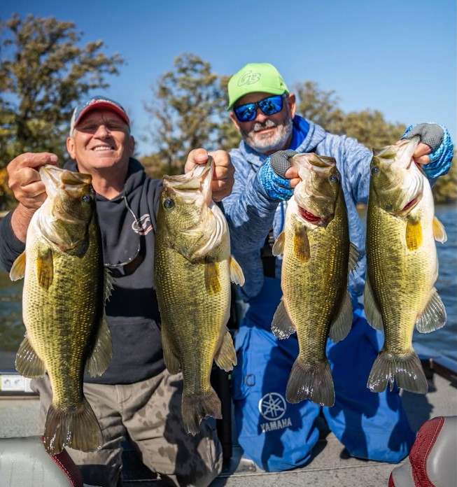 Two men on a fishing boat proudly hold up four large bass fish, smiling at the camera after a successful day of Multi-Species Fall Fishing. Trees and water are visible in the background on a sunny day.