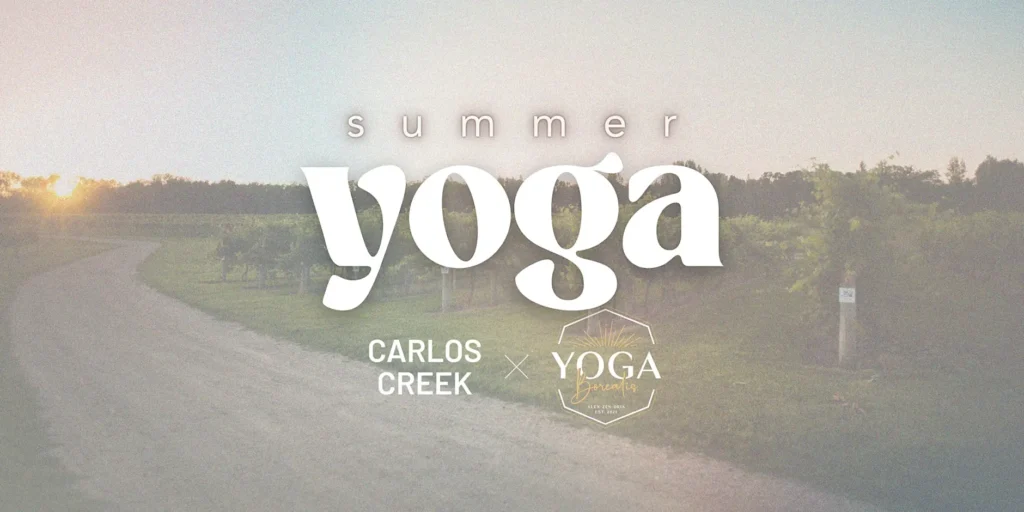 A sunset-lit path runs beside the green vineyard at Carlos Creek. Overlaid white text reads: "Summer Yoga, Carlos Creek x Yoga Synergy." The calm scene invites you to join this relaxing outdoor summer yoga event.