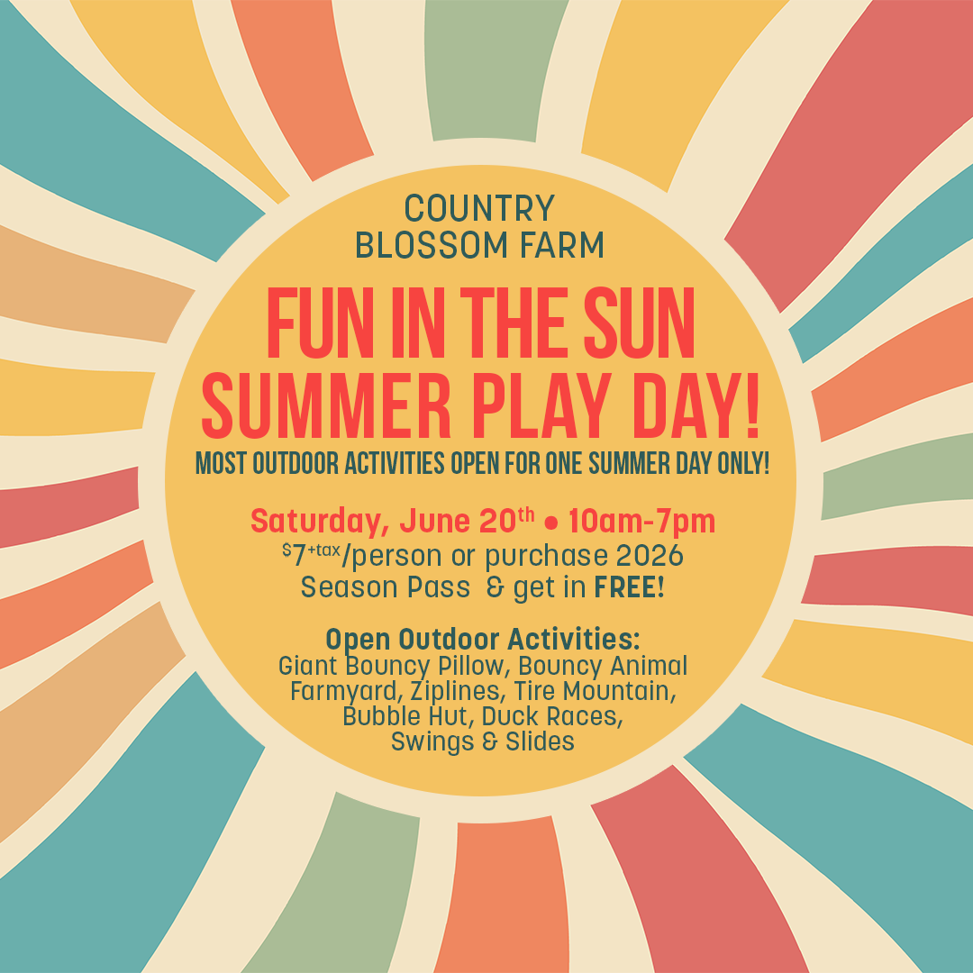 Summer Play Day at Country Blossom Farm