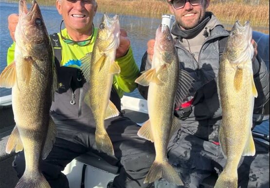 Two men sit in a boat on a lake, each holding up two large Walleyes they caught, smiling at the camera. The background features water, reeds, and trees with autumn foliage—a classic scene of fishing the Midwest.