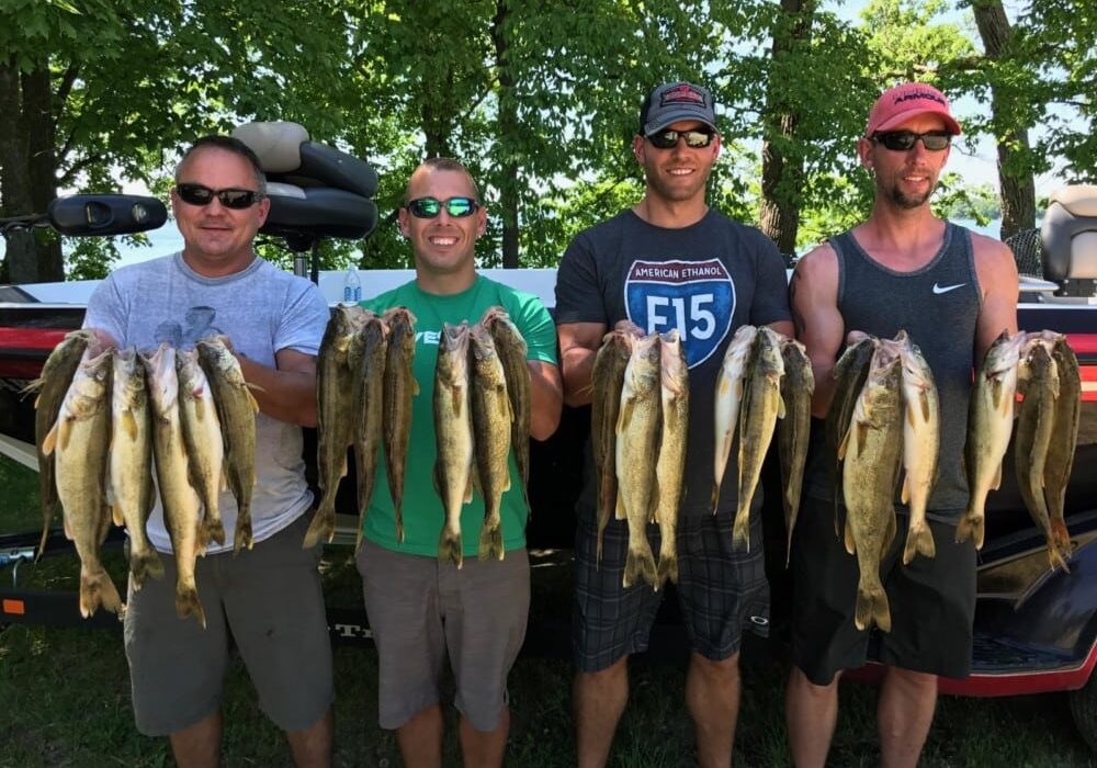 Four men stand outdoors in front of a boat, each proudly holding up several large walleye they caught, smiling at the camera. Green trees fill the background on a sunny day.