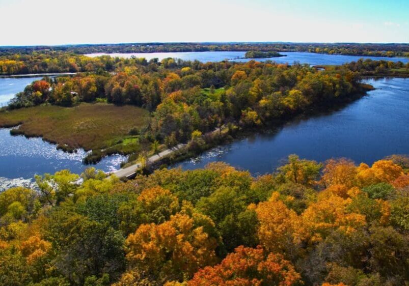 Aerial view of a lake surrounded by dense trees with vibrant autumn foliage in shades of green, yellow, and orange under a clear blue sky. A narrow road crosses through the wooded area—perfect for those who want to explore Alexandria MN.