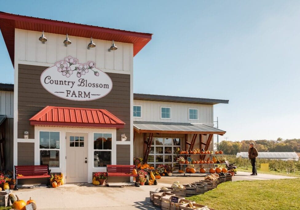 A large farmhouse with a "Country Blossom Farm" sign is decorated with pumpkins, flowers, and produce crates outside. A person stands nearby as fields stretch into the distance beneath a clear sky at Country Blossom Farm.