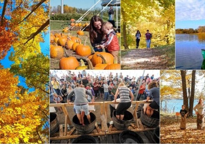 A collage of fall fun in the Alexandria Lakes Area: people picking pumpkins, walking among autumn trees, paddling a canoe on the lake, grape stomping at a festival, and enjoying a lakeside gathering amid vibrant fall foliage.