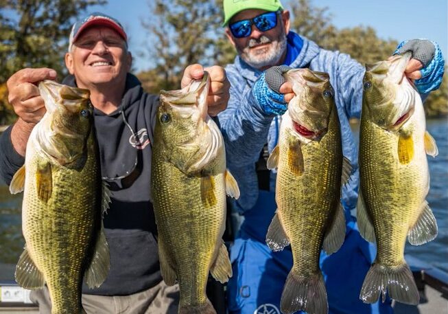 Two men on a fishing boat proudly hold up four large bass fish, smiling at the camera after a successful day of Multi-Species Fall Fishing. Trees and water are visible in the background on a sunny day.
