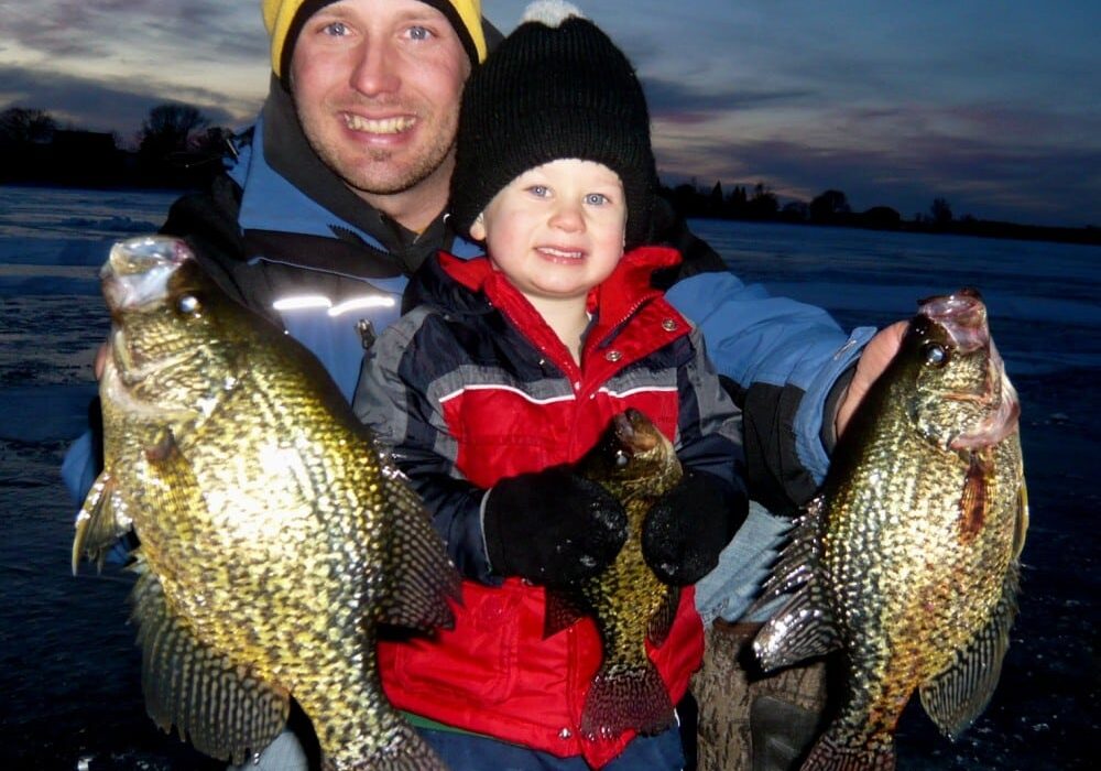 A smiling man and young child, both bundled in winter clothing, proudly hold up three large crappies while crappie fishing on a frozen lake near Alexandria at dusk.