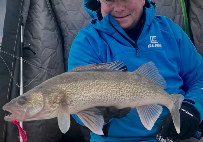 A smiling person in a blue jacket and cap holds a large walleye fish inside an ice fishing shelter, likely celebrating success at one of the early ice hot spots, with fishing gear visible in the background.