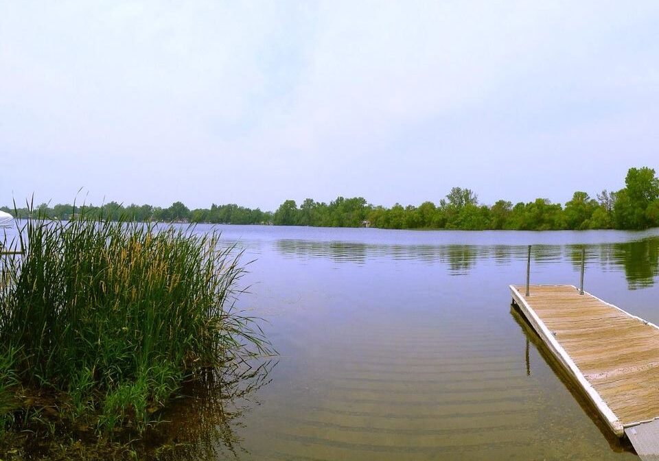 A wooden dock extends into calm Lake Cowdry with gentle ripples. Tall green reeds grow along the shoreline on the left, and trees line the distant opposite shore under a pale, partly cloudy sky.